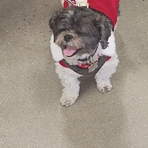 Meet your Posher, Kathy